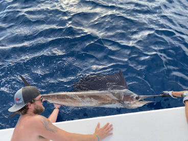 Fort Lauderdale Report Photo 1