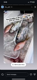 Blackfin tunas and more 