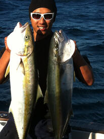 Sydney Report Photo 1