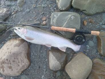 Chincoteague Island Report Photo 2