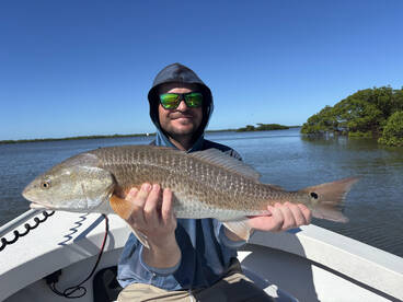 Naples Report Photo 2