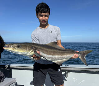 Naples Report Photo 1