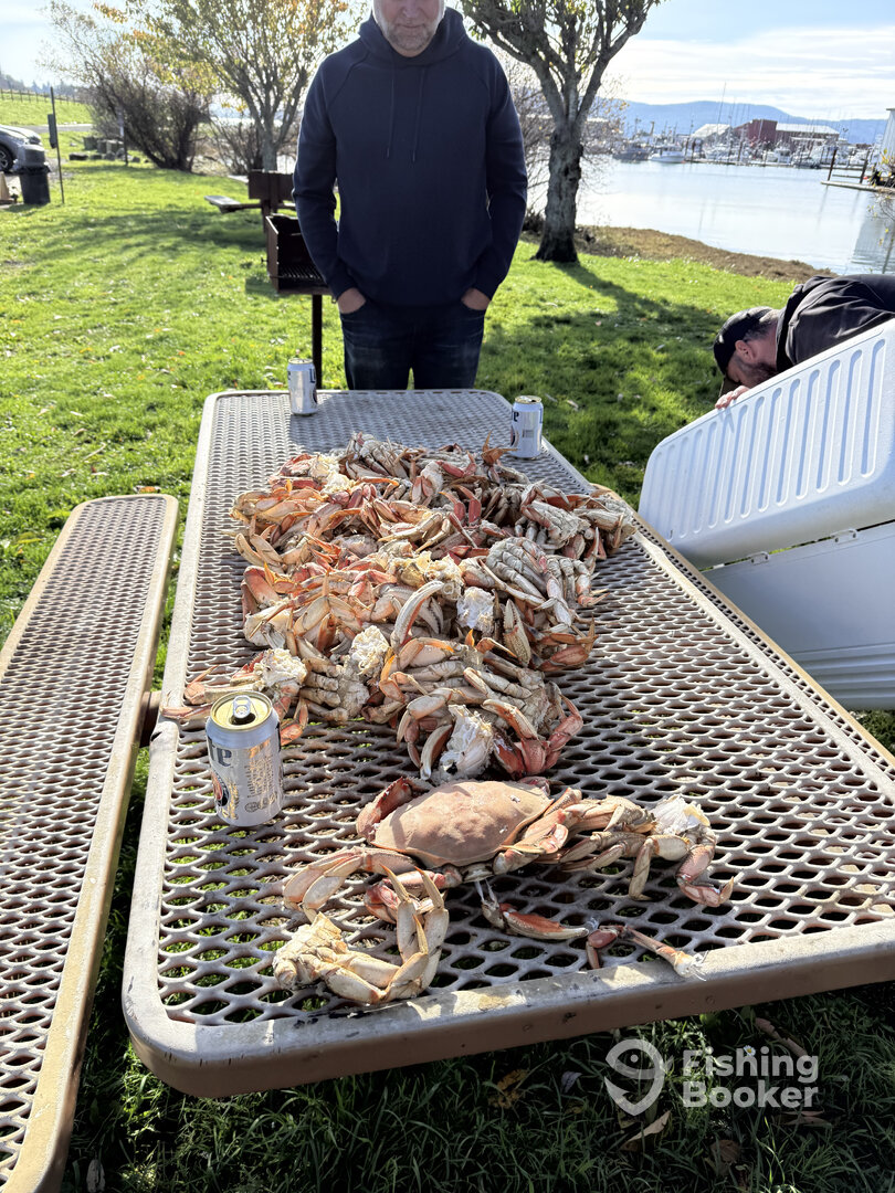 Garibaldi Report Photo 0