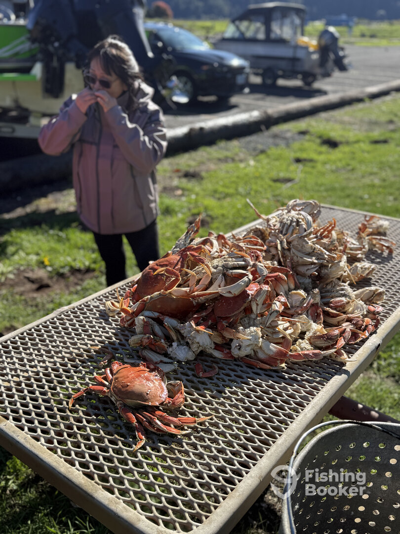 Garibaldi Report Photo 0