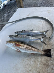 November is off to a hot start!! 