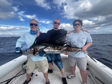 Sailfish are here!