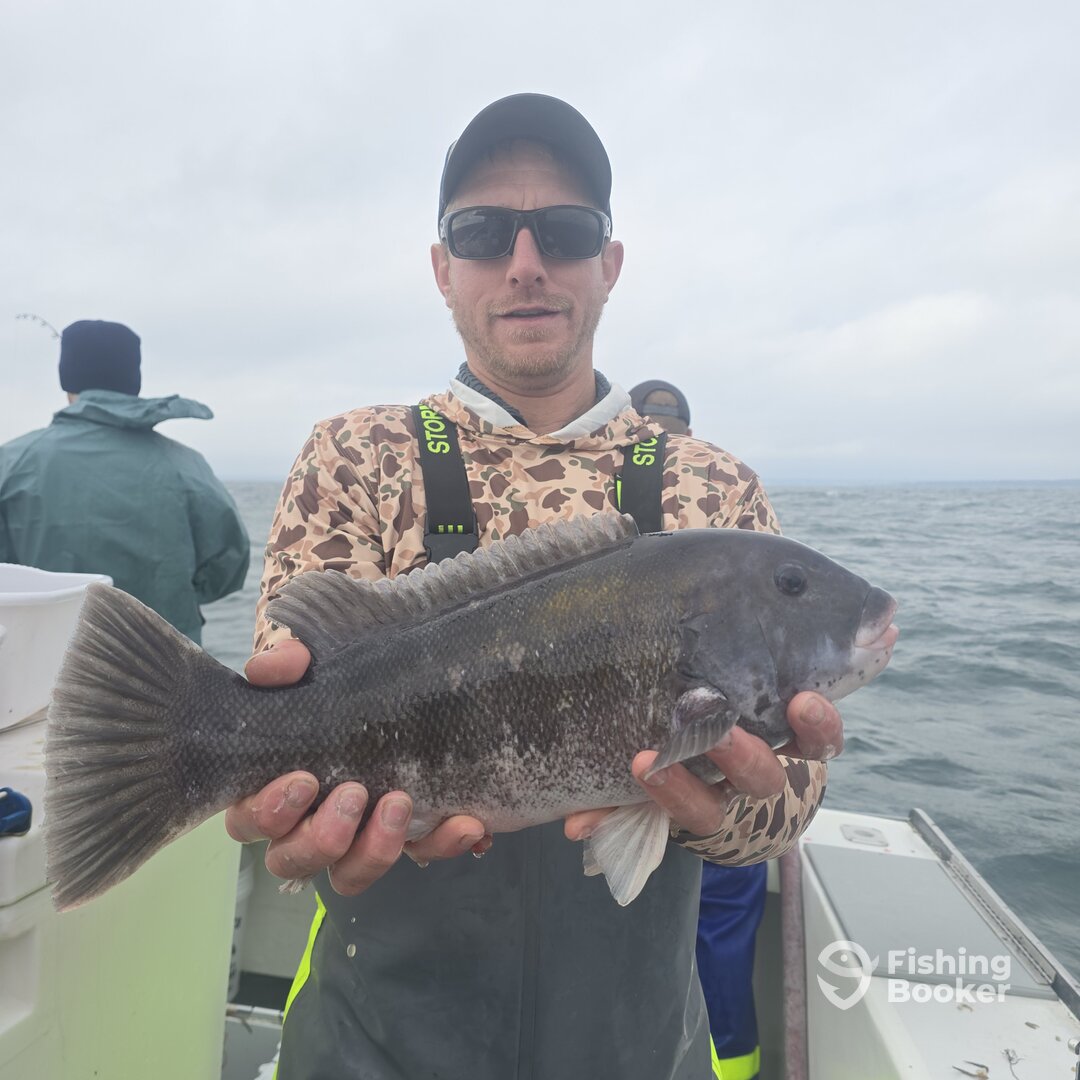 Narragansett Report Photo 0