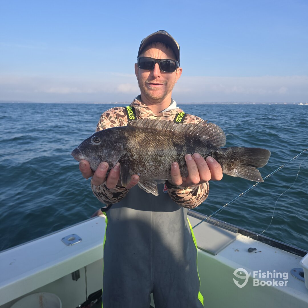 Point Judith Report Photo 0