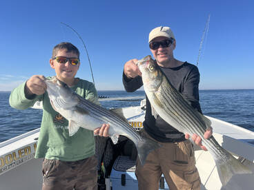 Chesapeake Beach Report Photo 2