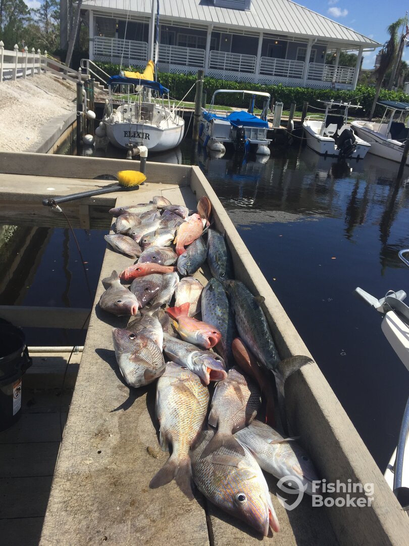 Naples Report Photo 0