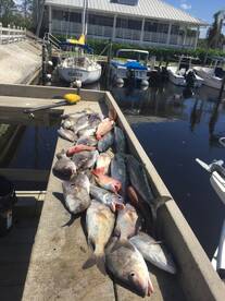 October Fishing is still going strong