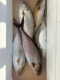 Barcelona Report Photo 2