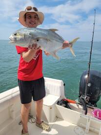 Jack crabel, skip jack tuna 