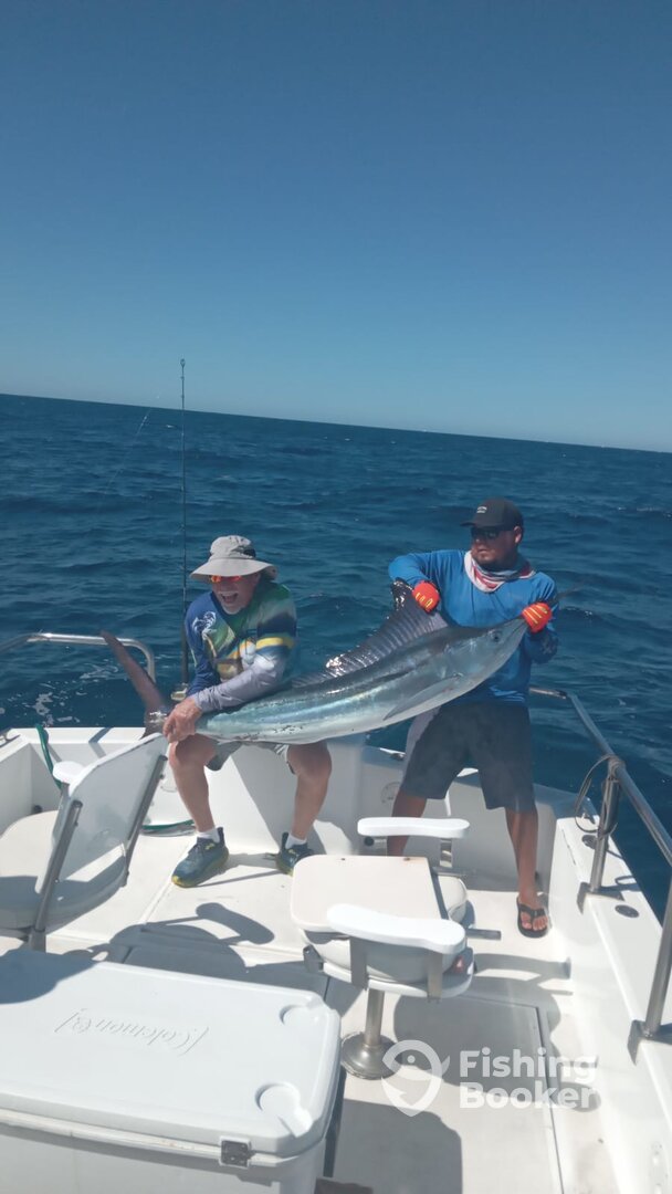 Cabo San Lucas Report Photo 0