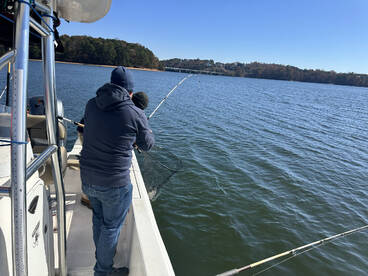 Wind and Cold..They Are Biting.