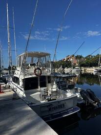 Saturday, November 1, 2025