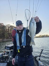 Striper and More
