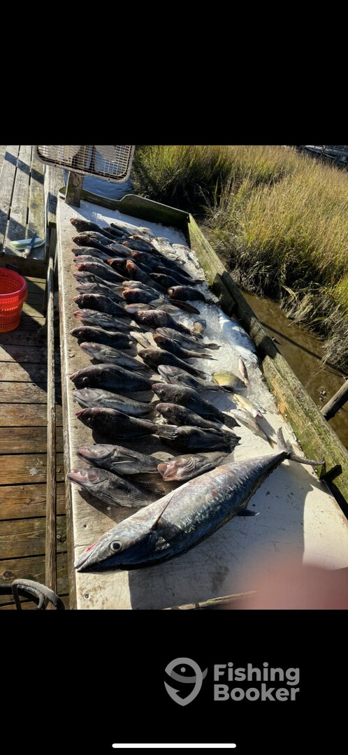 Calabash Report Photo 0