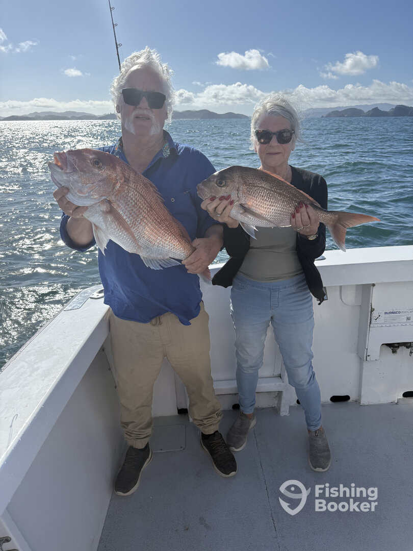 Paihia Report Photo 0