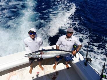 Tuna and Sailfish bite!!