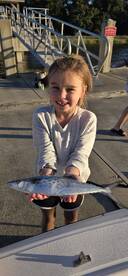 St. Simons Island Report Photo 1
