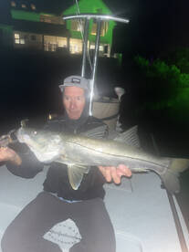 St. Petersburg Report Photo 2