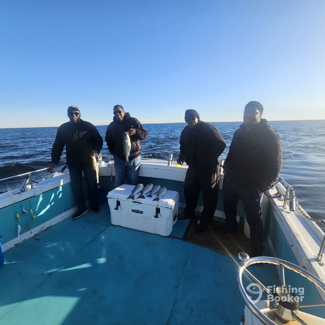 Solomons Report Photo 0