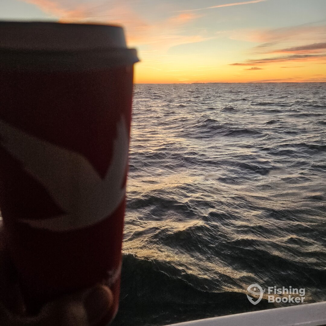 Solomons Report Photo 0