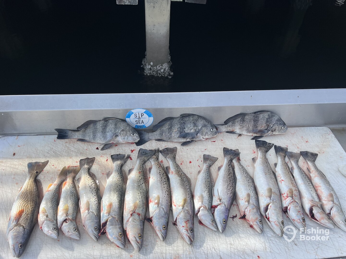 Charleston Report Photo 0