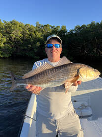 St. Petersburg Report Photo 1