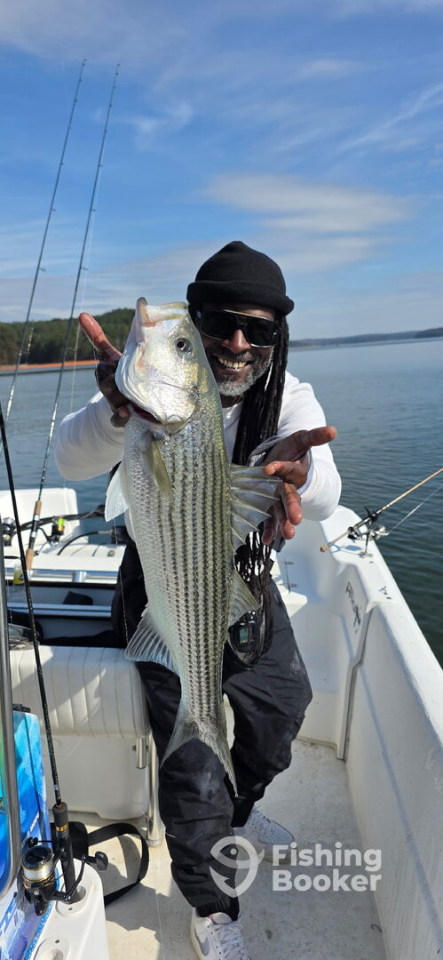 Atlanta Report Photo 0