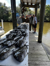 Fish beatdown