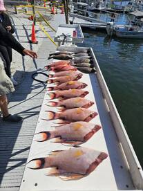 Hogfish are fired up !!! Bacon for days 