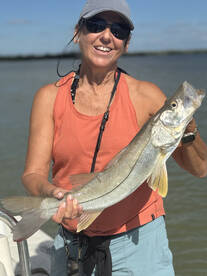 Snook are biting in the bacountry  