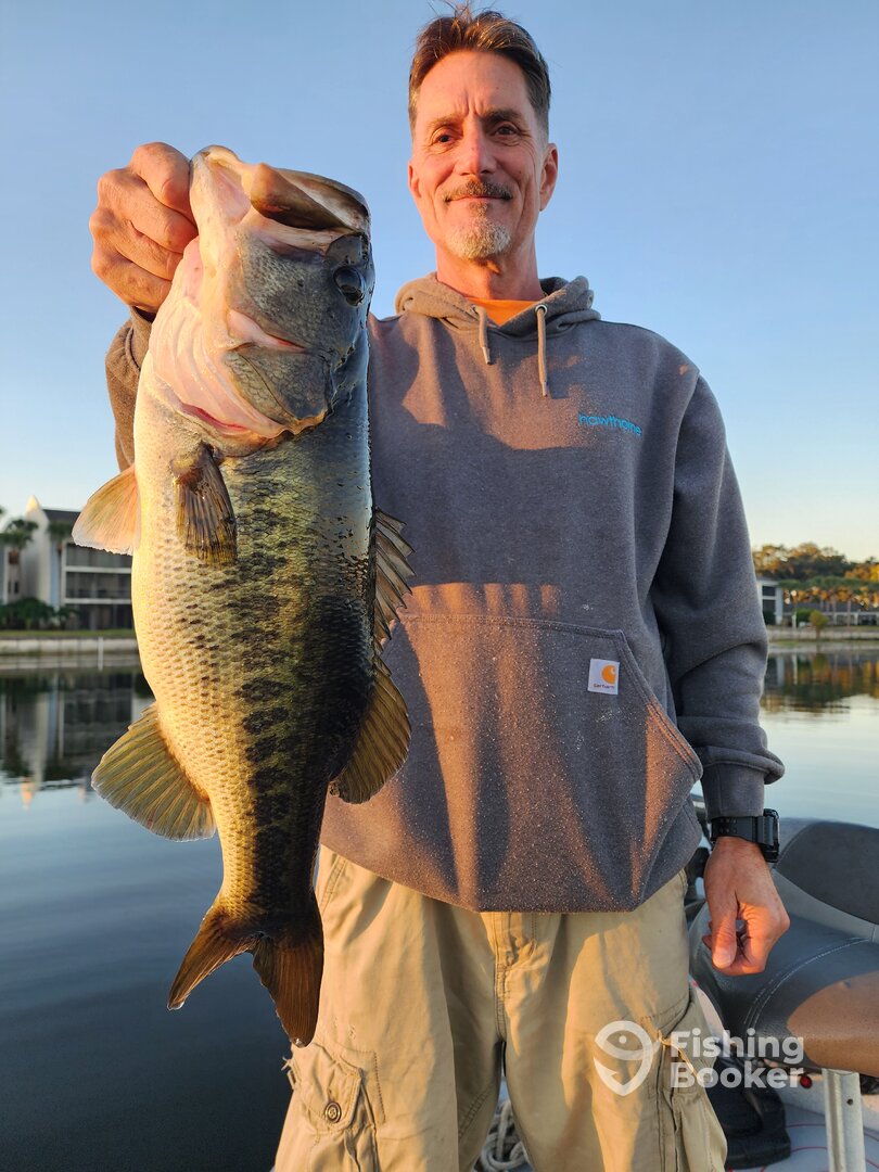 Orlando Report Photo 0