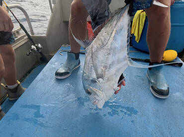 Wind is good. Let's go fishing.