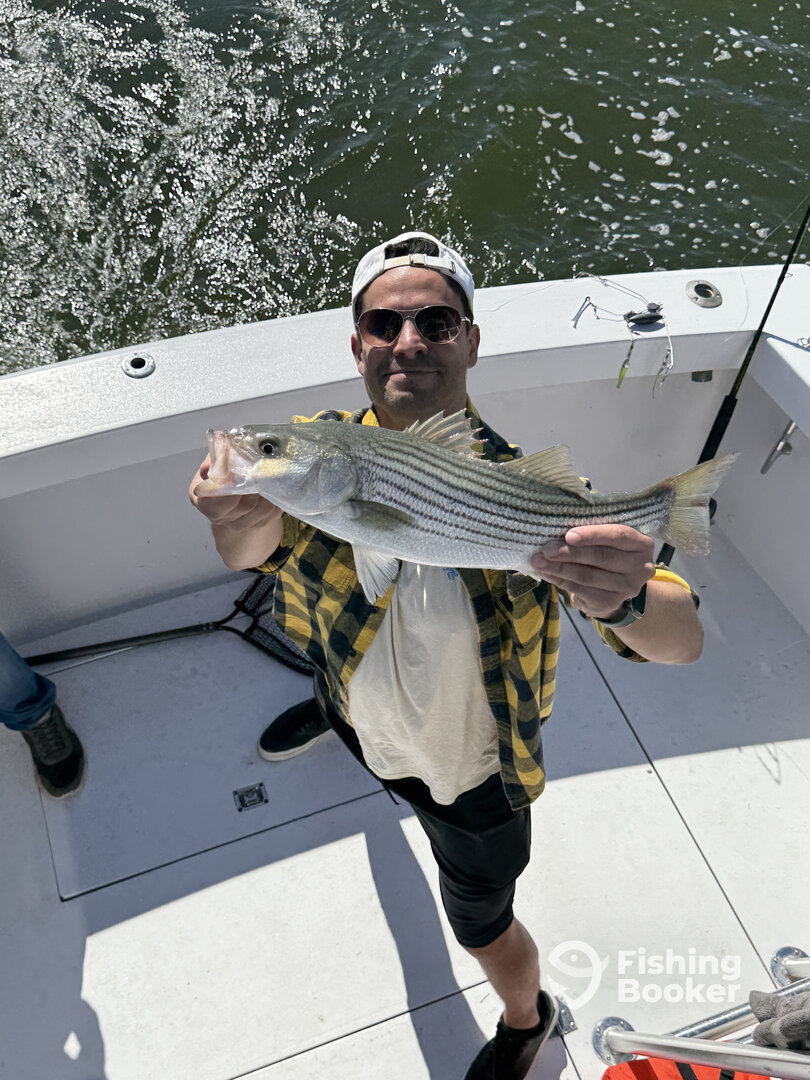 Shady Side Report Photo 0