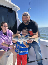 Shady Side Report Photo 4