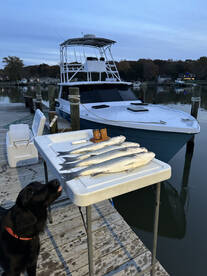 Shady Side Report Photo 2