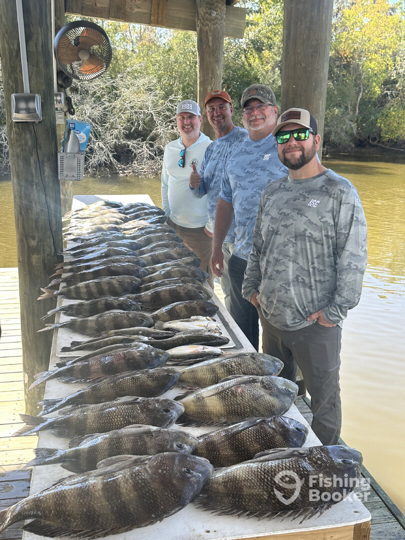 St. Bernard Report Photo 0