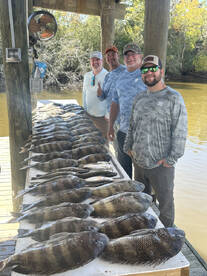 Sheepheads smackdown