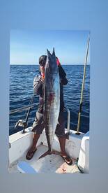 Wahoos , dorados 2nd place Tuna Tourna