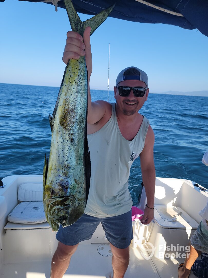 Nuevo Vallarta Report Photo 0