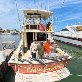 BIG WAHOO AND KINGFISH