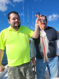 Gainesville Report Photo 1