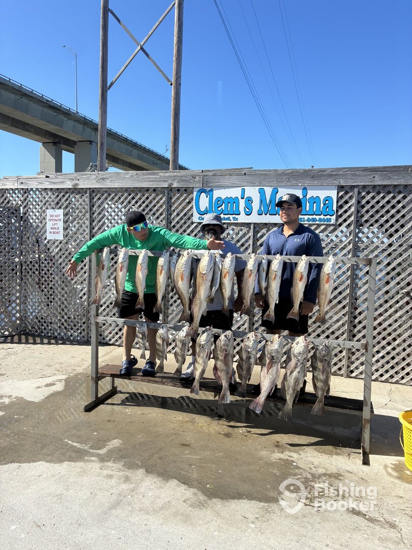 Corpus Christi Report Photo 0