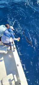 Great fishing lately!