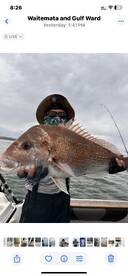 4 hours short trip report