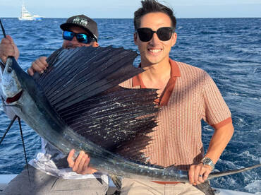 Sailfish