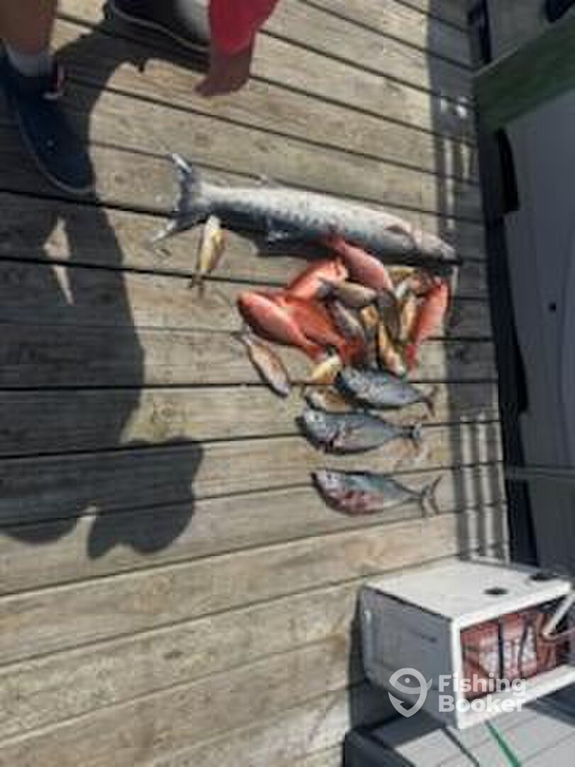 Sneads Ferry Report Photo 0